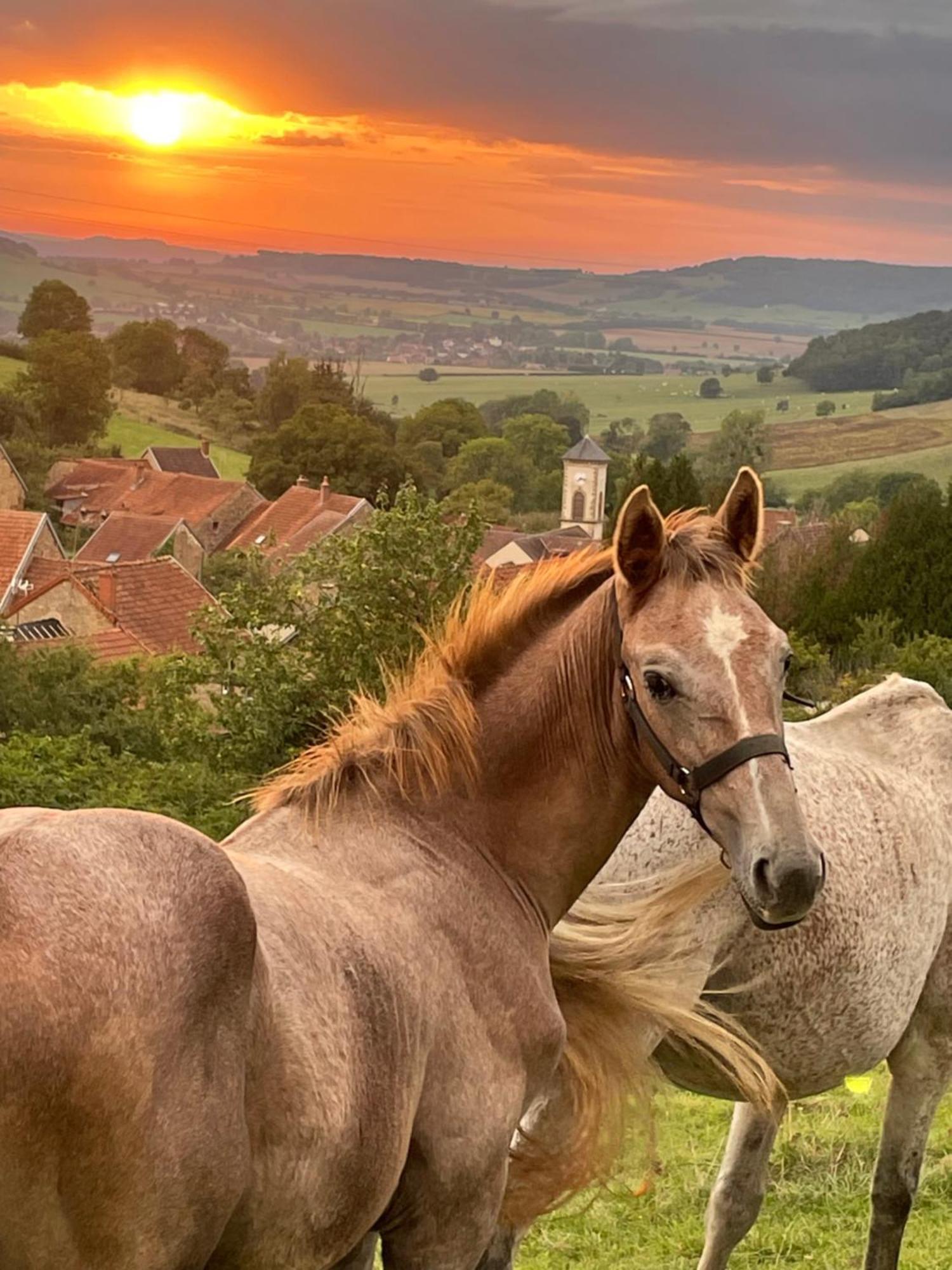 Ferienhaus La Petite Maison Dans La Campagne *